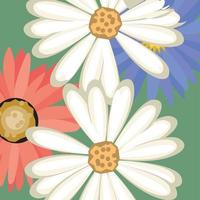 Spring theme Beautiful flower background with color vector