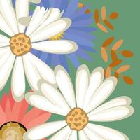 Spring theme Beautiful flower background with color vector