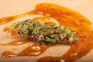 dried cannabis bud with concentrate wax oil closeup photo