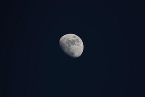 full moon in the night photo