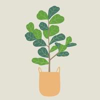 Doodle freehand sketch drawing of fiddle leaf fig tree. vector