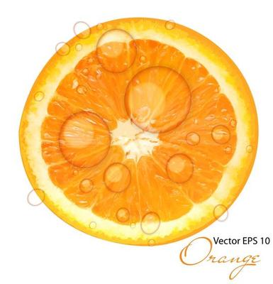 Fresh juicy orange background vector illustration