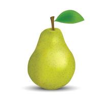 realistic green pear isolated Template for your design vector