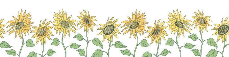 seamless border with nice sunflowers on long stems. vector