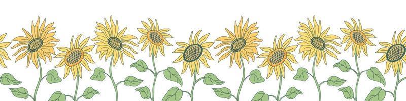 borde sin costuras con bonitos girasoles en tallos largos. vector