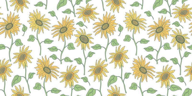 Seamless pattern with sunflowers on long stems with leaves on white.