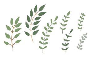 Branches with green leaves collection vector