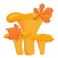 champiñón. elemento de diseño de otoño. estilo de dibujos animados de vector