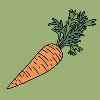 Doodle dibujo a mano alzada de vegetales de zanahoria. vector