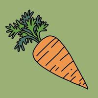 Doodle dibujo a mano alzada de vegetales de zanahoria. vector