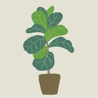 Doodle freehand sketch drawing of fiddle leaf fig tree. vector