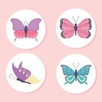 beautiful butterfly collection vector