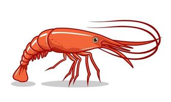Shrimp Illustrations Prawn Cartoon vector