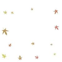 Confeti de arce otoñal. fondo de otoño simple vector