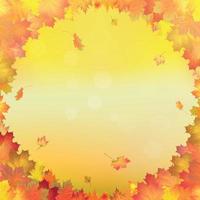 Red, orange, brown and yellow autumn leaves. Vector