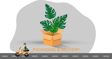 Plant packaging and delivery concept vector