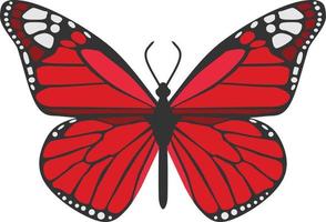 animal insecto mariposa roja vector