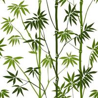 Bamboo Seamless Pattern vector