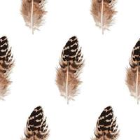 Feather Seamless Pattern vector