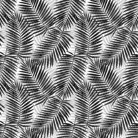 Palm Leaves Seamless Pattern vector