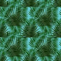 hojas tropicales de patrones sin fisuras vector