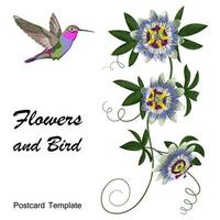 Hummingbird and Passiflora Postcard vector