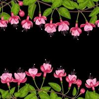 Fuchsia Seamless Double Border vector