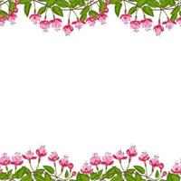 Fuchsia Seamless Double Border vector