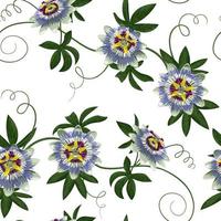 Passiflora Seamless Pattern vector