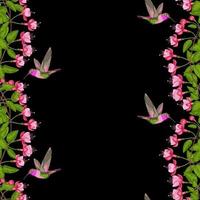 Fuchsia and Hummingbird Seamless Border vector