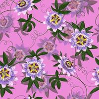 Passiflora Seamless Pattern vector