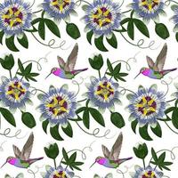 Hummingbird and Passiflora Seamless Pattern vector