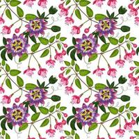 Fuchsia and Passiflora Seamless Pattern vector