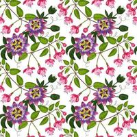 Fuchsia and Passiflora Seamless Pattern vector