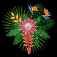 Tropical Bouquet Composition with Protea vector
