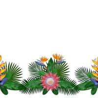 Tropical Seamless Border vector