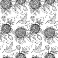 Hummingbird and Passiflora Seamless Pattern vector