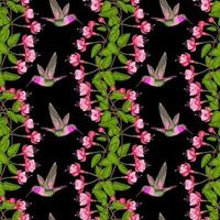 Fuchsia and Hummingbird Seamless Pattern vector