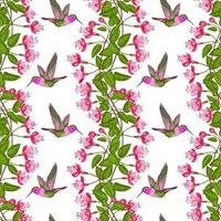 Fuchsia and Hummingbird Seamless Pattern vector