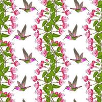 Fuchsia and Hummingbird Seamless Pattern vector