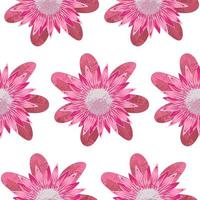 Protea Pink Seamless Pattern