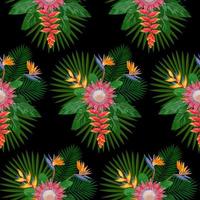 Tropical Seamless Pattern with Protea vector