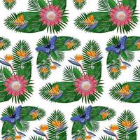 Tropical Seamless Pattern with Protea