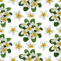 Plumeria Seamless Pattern vector