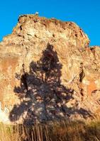 Juniper shadow on the rock wall at Madras Red Rocks near Madras OR photo