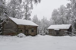 Two old timbered houses in a snowy forest photo
