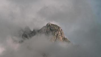 misty mountain view photo