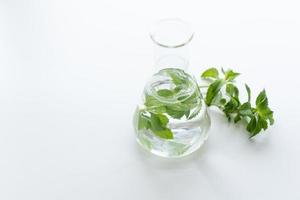 Peppermint spa treatments on white wooden table photo