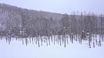 nieve en invierno en biei blue pond en hokkaido video
