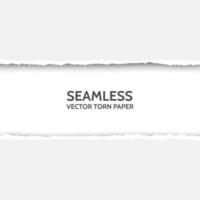 seamless torn paper set on gray background. vector